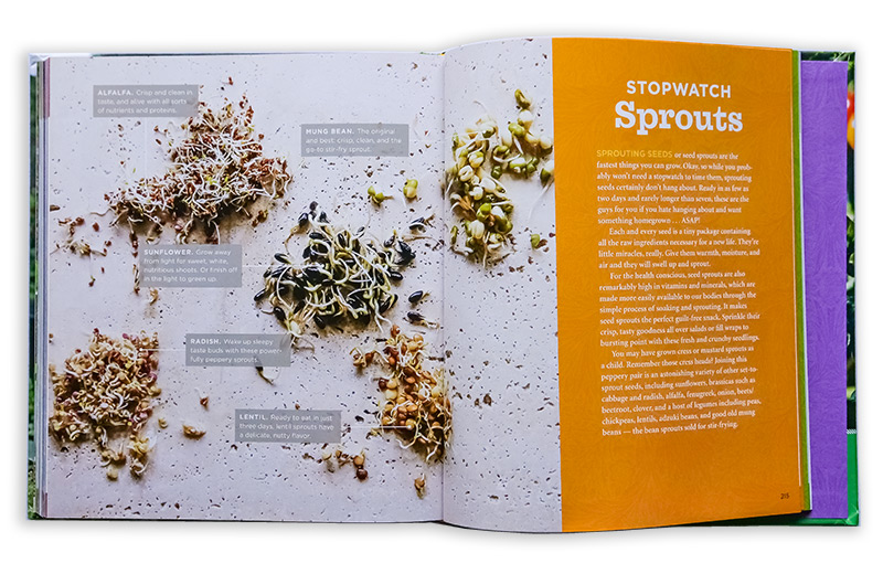 GrowVeg: The Beginner's Guide to Easy Vegetable Gardening Book